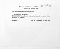 Puccinia petasites-pulchellae image